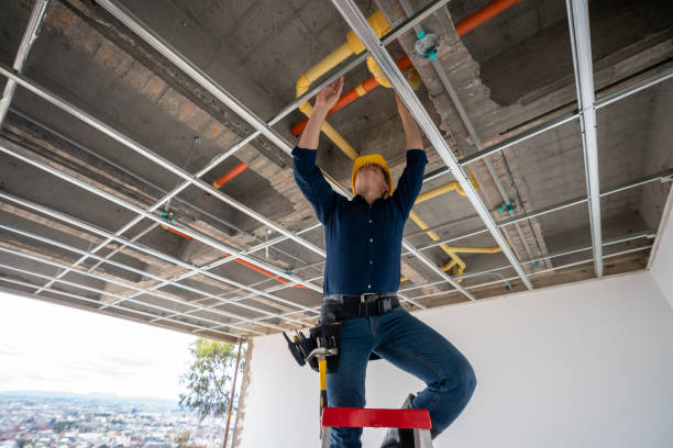 Best Plumbing Inspection Services  in Lake St Louis, MO